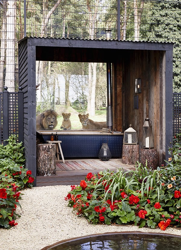 Lion Lodge: Outdoor Bathtub at Port Lympne Safari Park,
