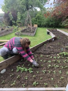 Stef-weeding-the-castle-veggie-garden